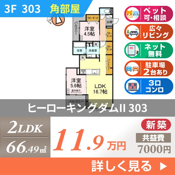 ヒーローキングダムII 303