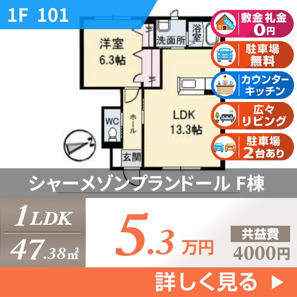 シャーメゾンプランドール F棟 101