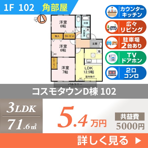 コスモタウン D棟 102