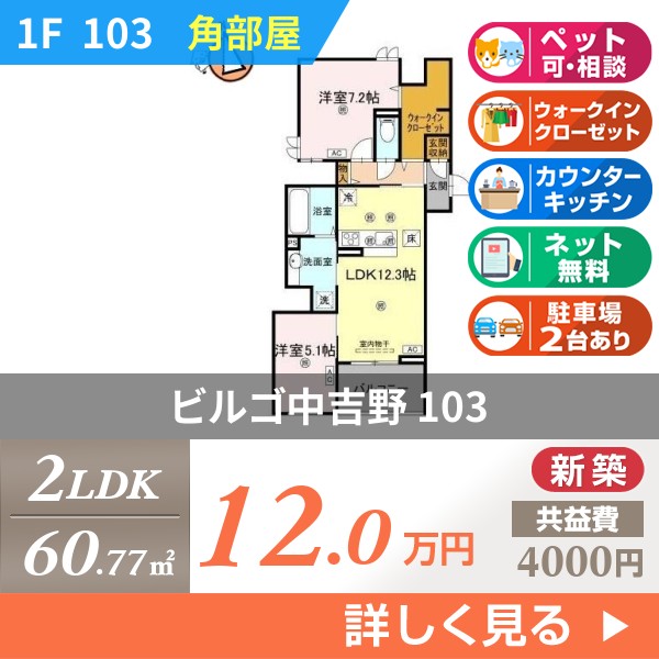 ビルゴ中吉野 103