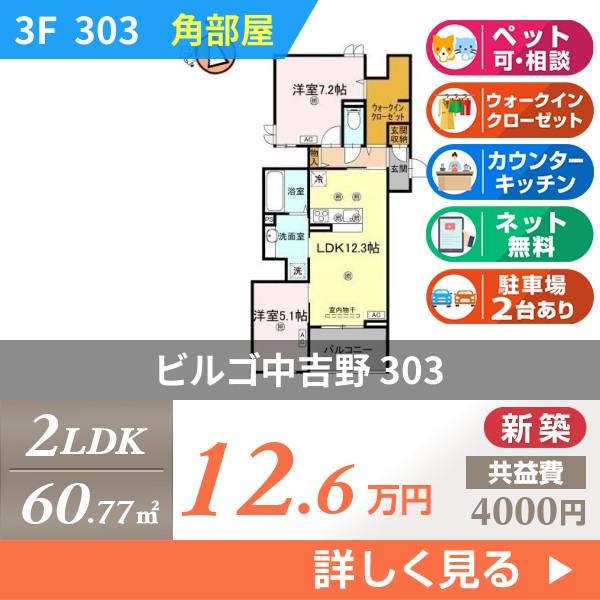 ビルゴ中吉野 303