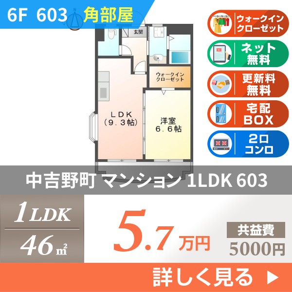 中吉野町 6階建マンション 2002年築 603