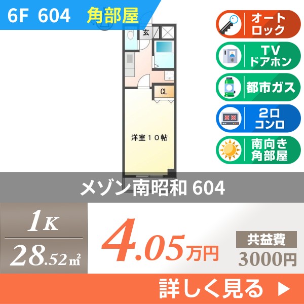 メゾン南昭和 604