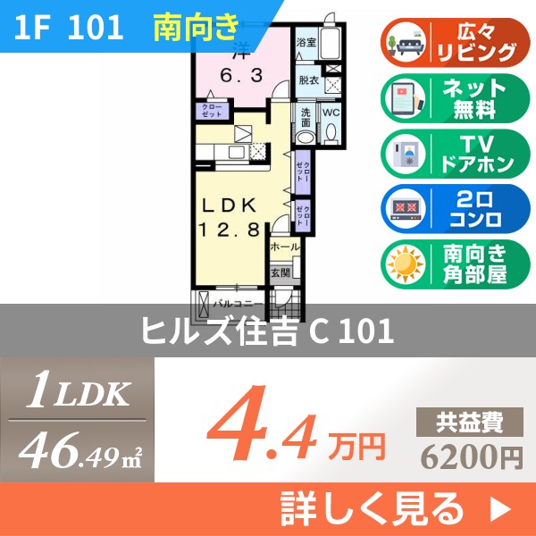 ヒルズ住吉 C 101