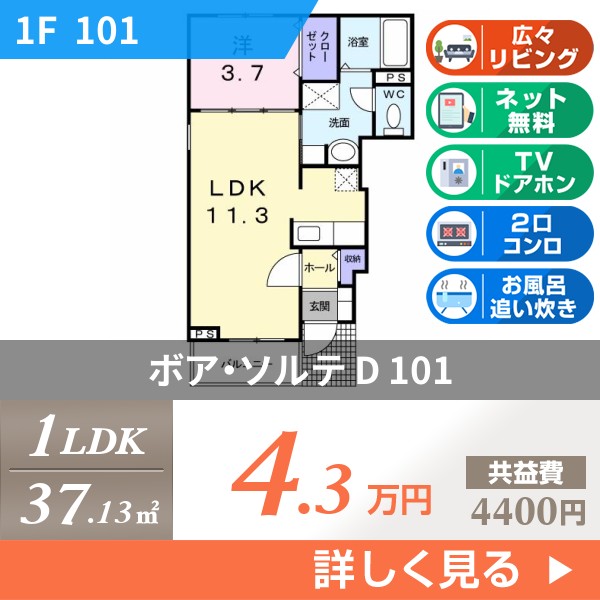 ボア・ソルテ D 101