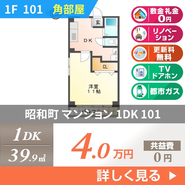 昭和町 3階建マンション 1994年築 101