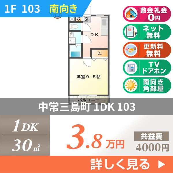 中常三島町 3階建マンション 1997年築 103