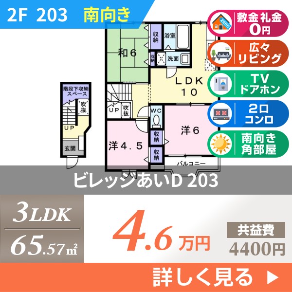 ビレッジあいD 203