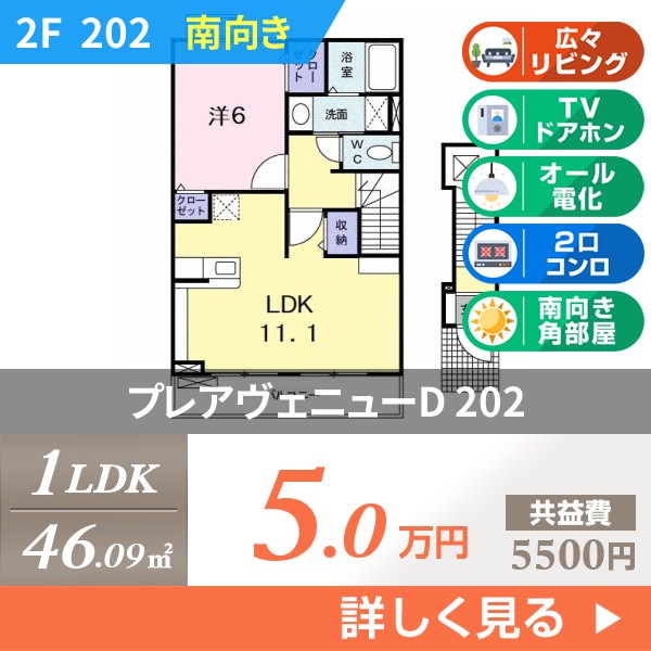 プレアヴェニューD 202