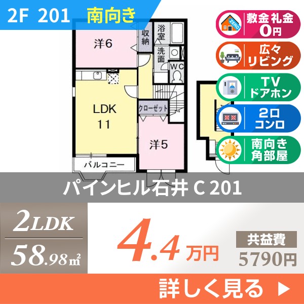 パインヒル石井 C 201