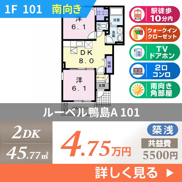 ルーベル鴨島A 101