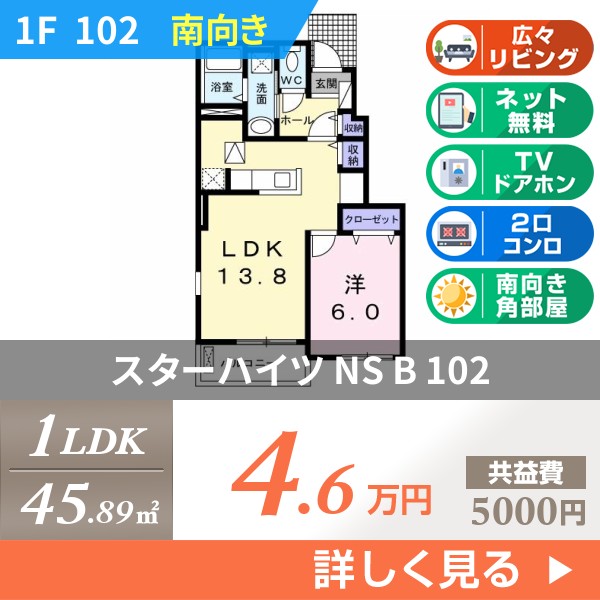 スターハイツ NS B 102