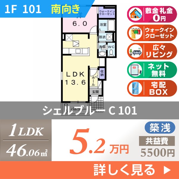 シェルブルー C 101