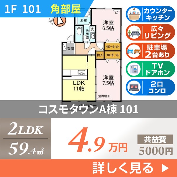 コスモタウンA棟 101