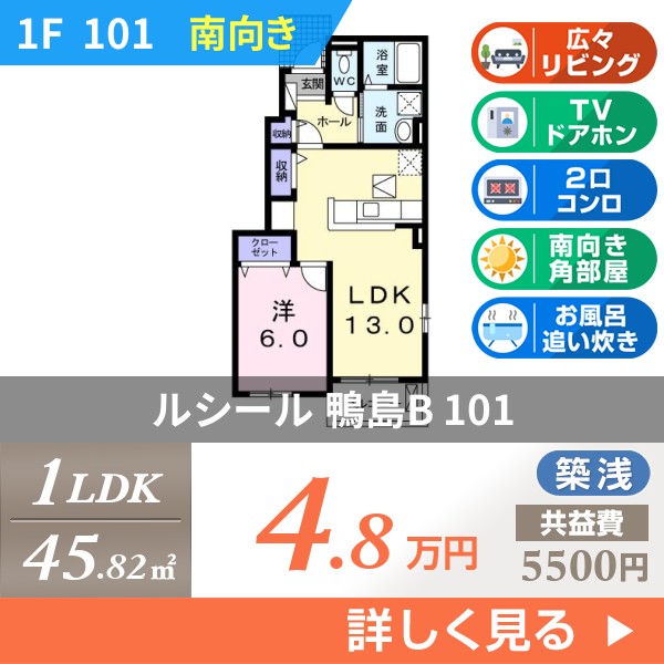 ルシール 鴨島B 101