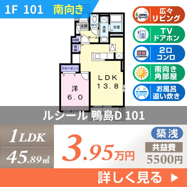 ルシール 鴨島D 101