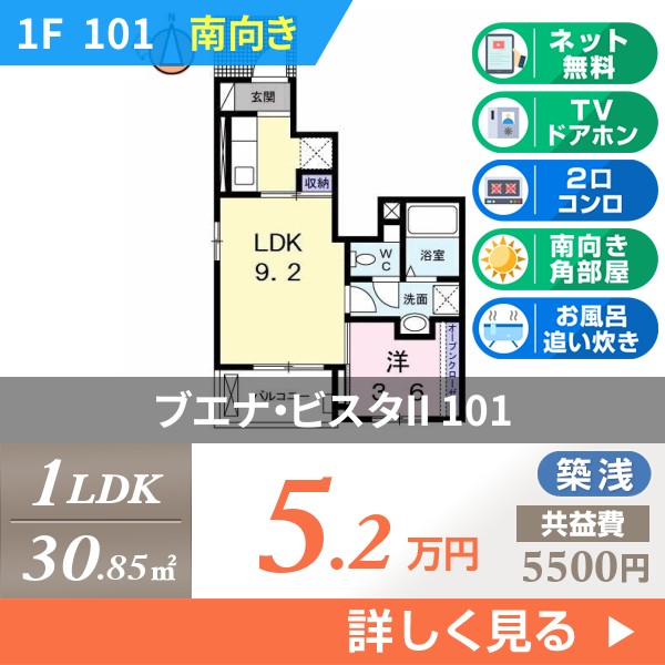 ブエナ・ビスタII 101