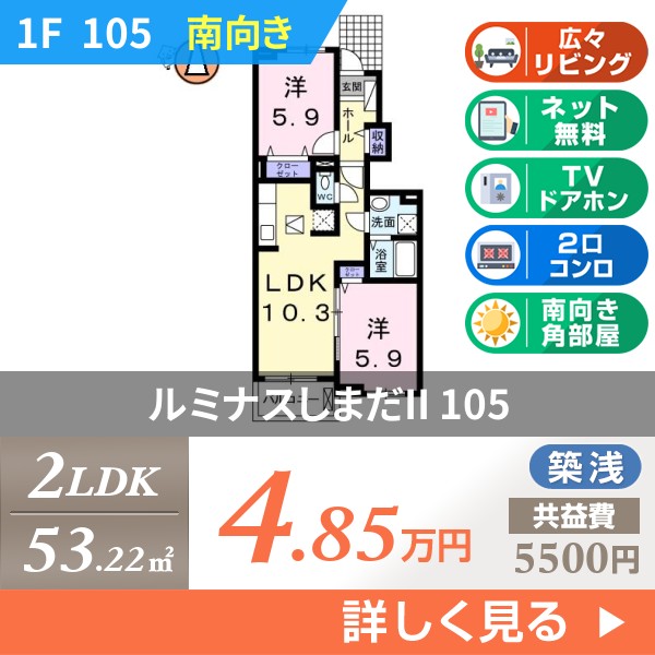 ルミナスしまだII 105