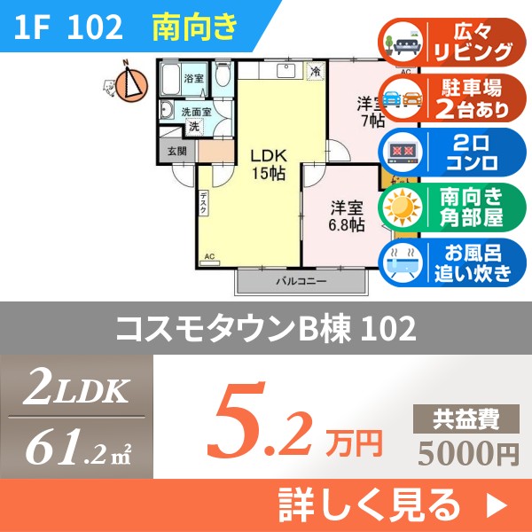 コスモタウンB棟 102