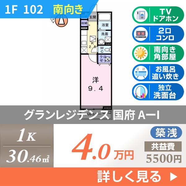 グランレジデンス 国府 AーI 102