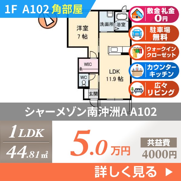 シャーメゾン南沖洲A a102