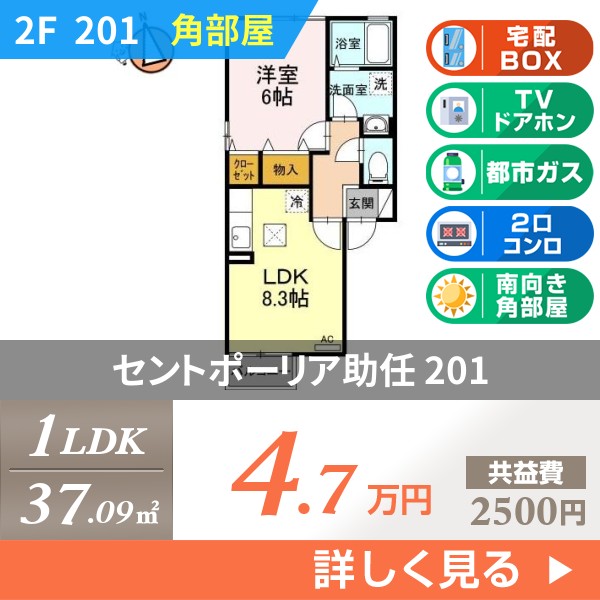 セントポーリア助任 201