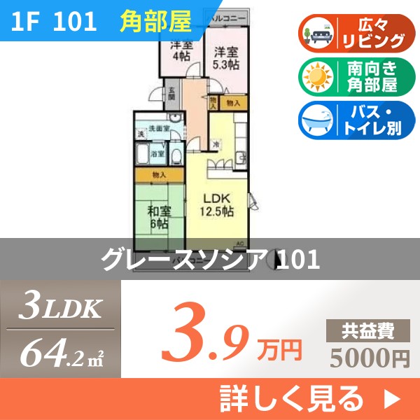 グレースソシア 101